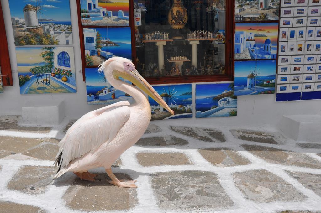 Apartmán Bleland Mykonos Mykonos Town Exteriér fotografie